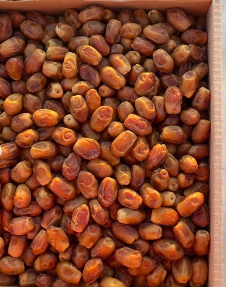 زاهدی