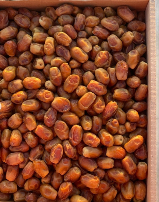 زاهدی