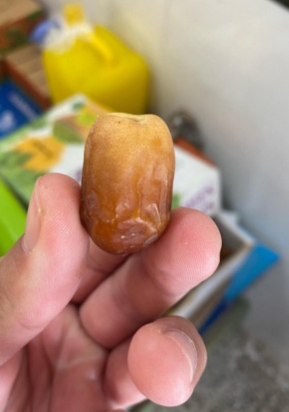 زاهدی