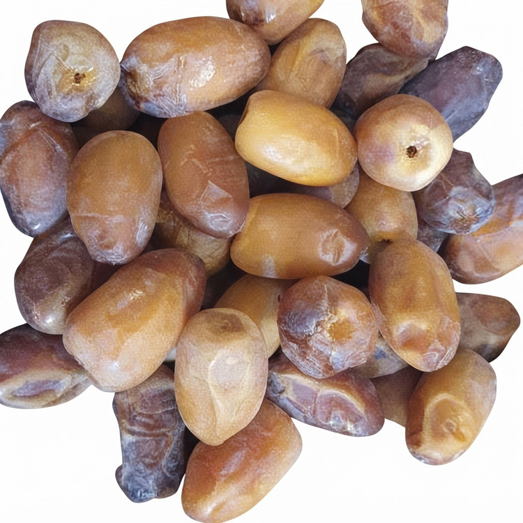 رطب کبکاب